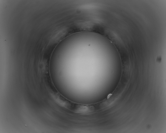 X0000093390083200710111524