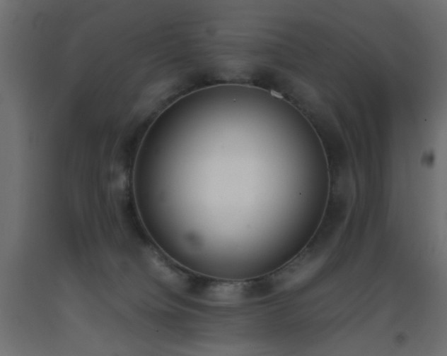 X0000093390084200710111524