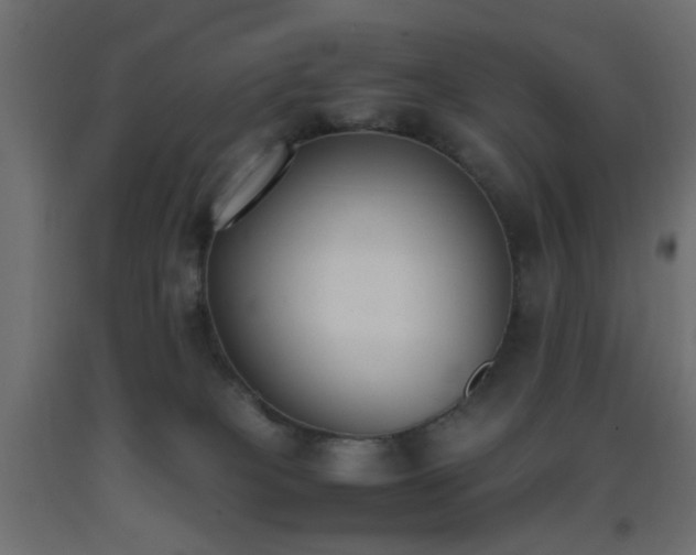 X0000093390085200710111524