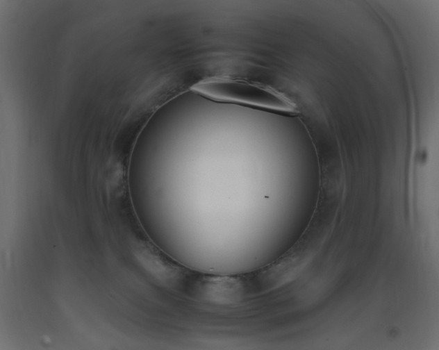 X0000093390087200710111524