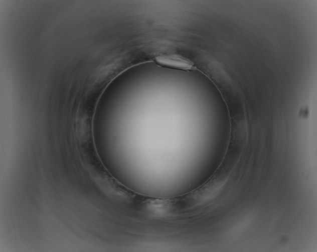 X0000093390088200710111524