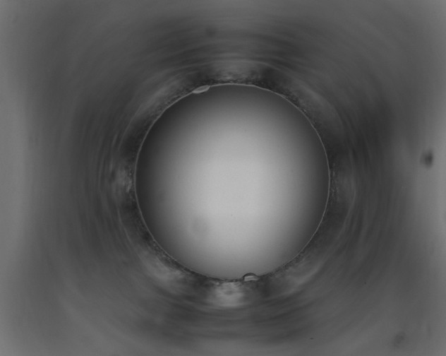 X0000093390091200710111524