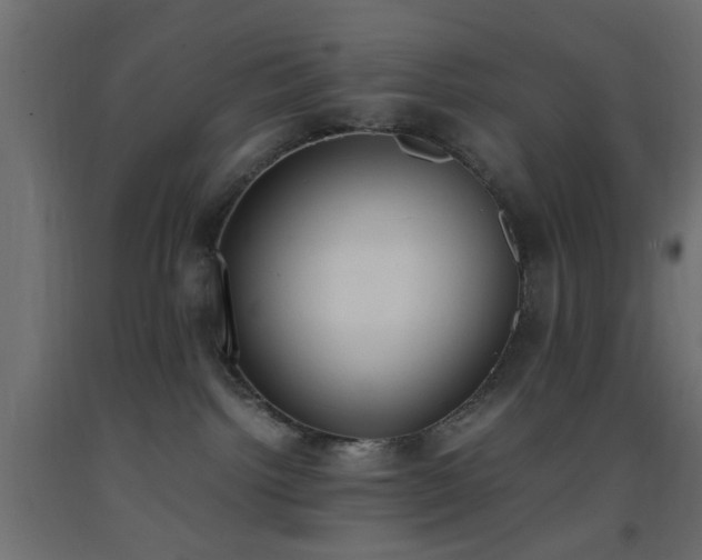 X0000093390092200710111524