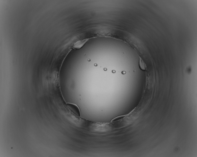 X0000093390093200710111524