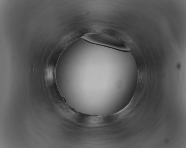 X0000093390094200710111524