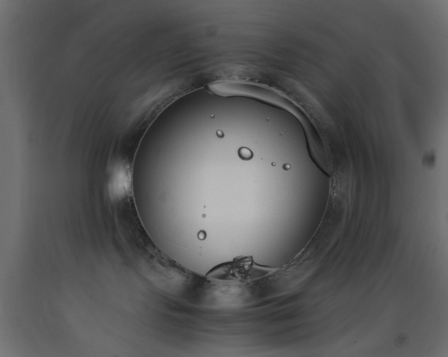 X0000093390095200710111524