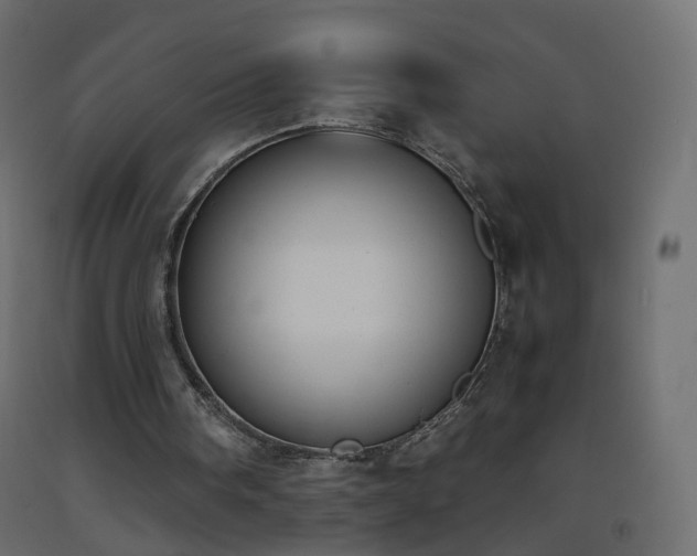 X0000093390098200710111523