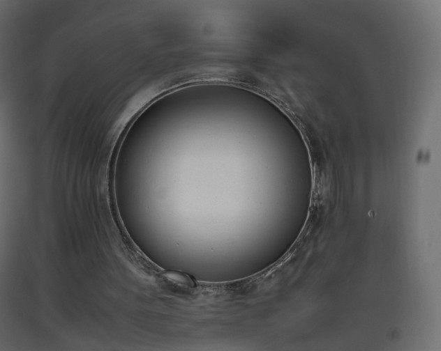 X0000093390099200710111523