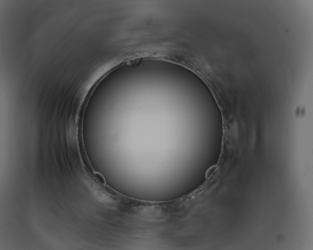 X0000093390100200710111523