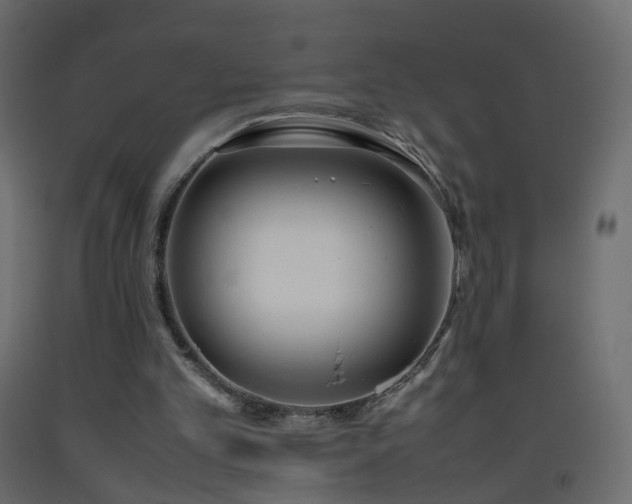 X0000093390101200710111523