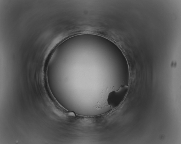 X0000093390102200710111523