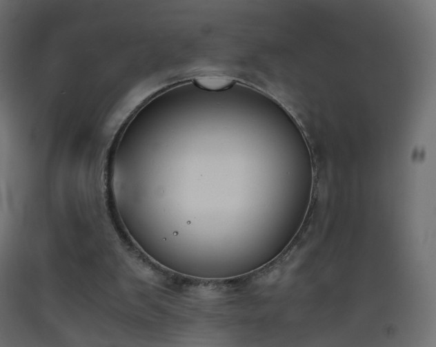 X0000093390103200710111523