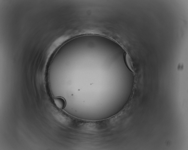 X0000093390104200710111523