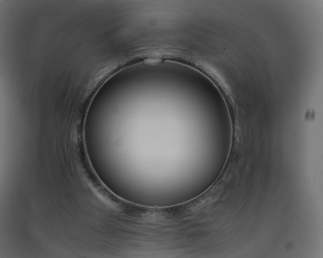 X0000093390105200710111523