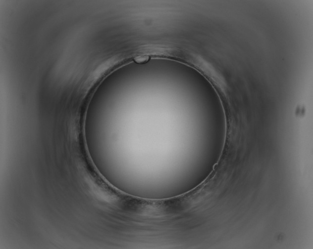 X0000093390107200710111523