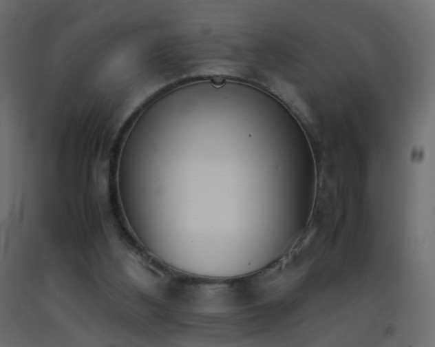 X0000093390108200710111523