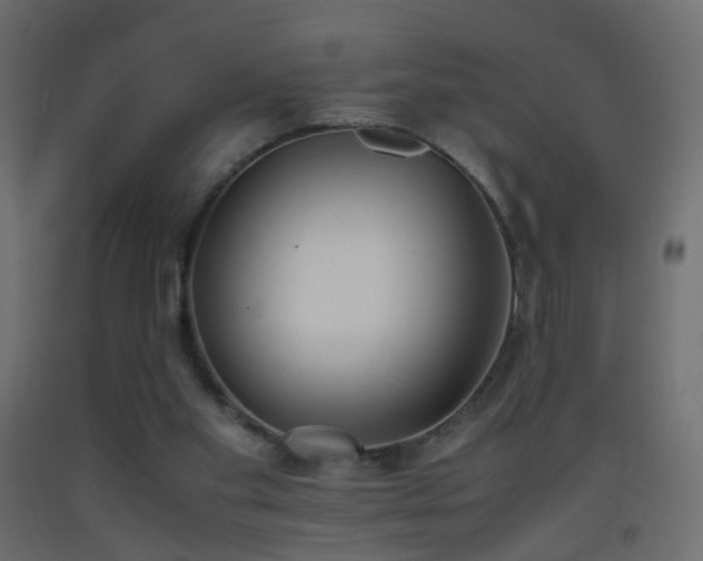 X0000093390109200710111523