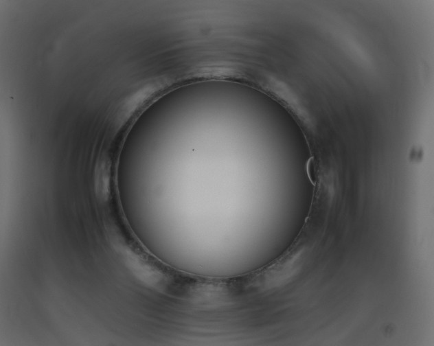 X0000093390110200710111523