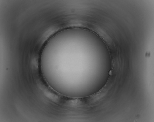 X0000093390112200710111523