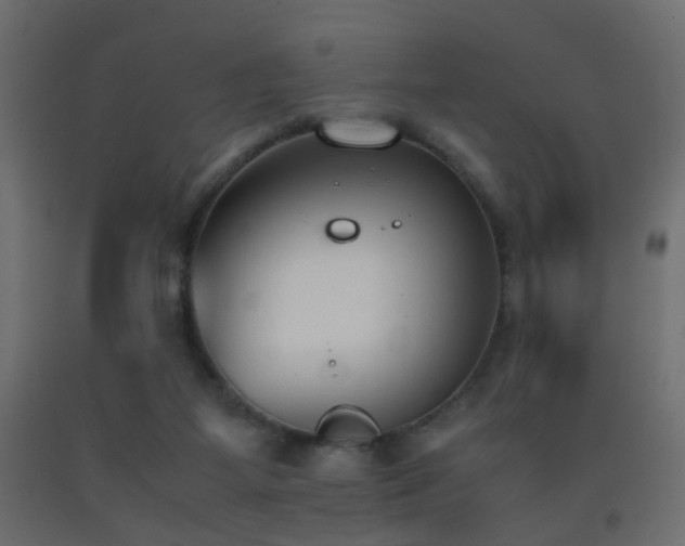 X0000093390115200710111523