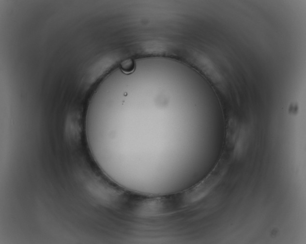 X0000093390116200710111523