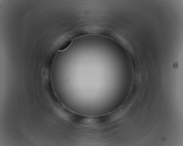 X0000093390117200710111523