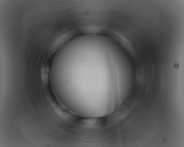 X0000093390118200710111523