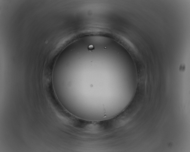 X0000093390119200710111523