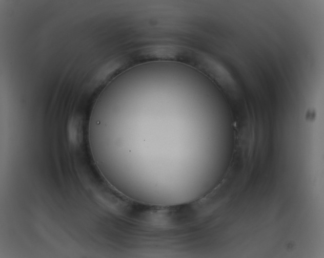 X0000093390120200710111523