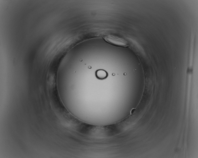 X0000093390123200710111523