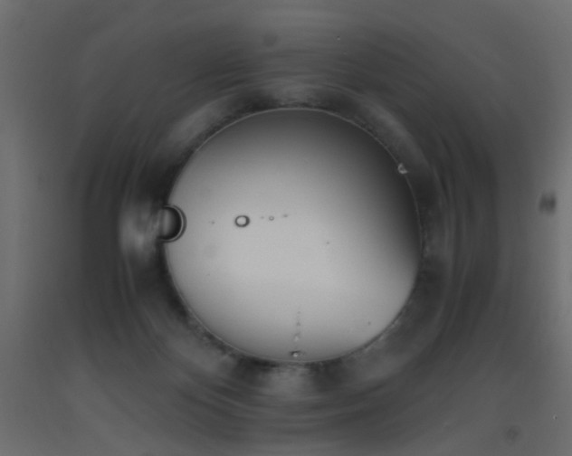 X0000093390124200710111523