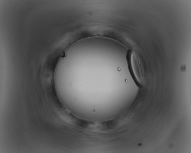 X0000093390125200710111523