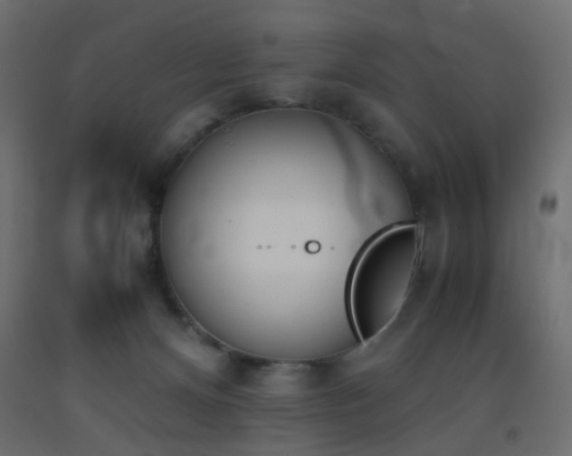 X0000093390128200710111523