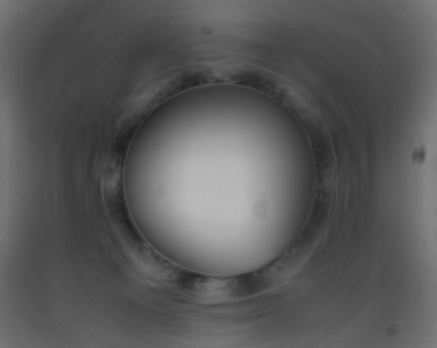 X0000093390129200710111523