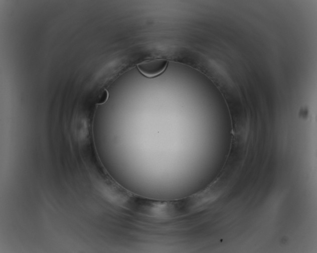 X0000093390130200710111523