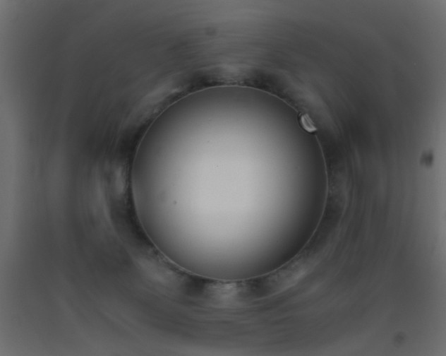 X0000093390131200710111523