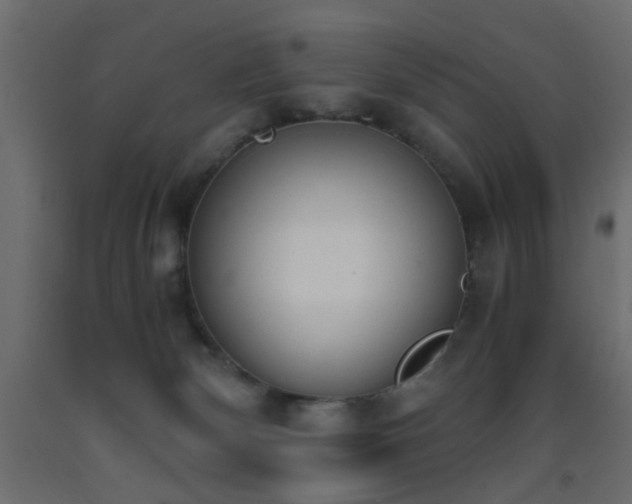 X0000093390132200710111523