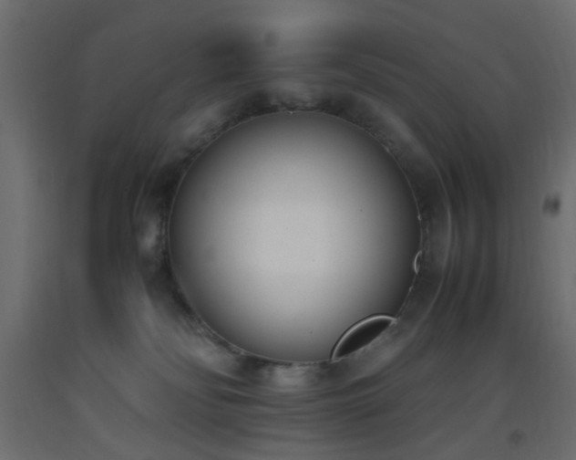 X0000093390134200710111523