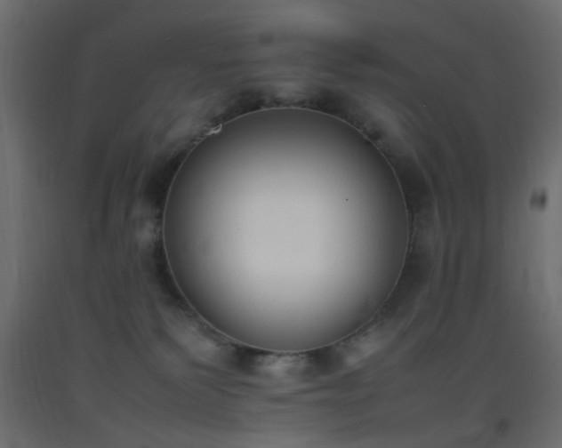 X0000093390135200710111523