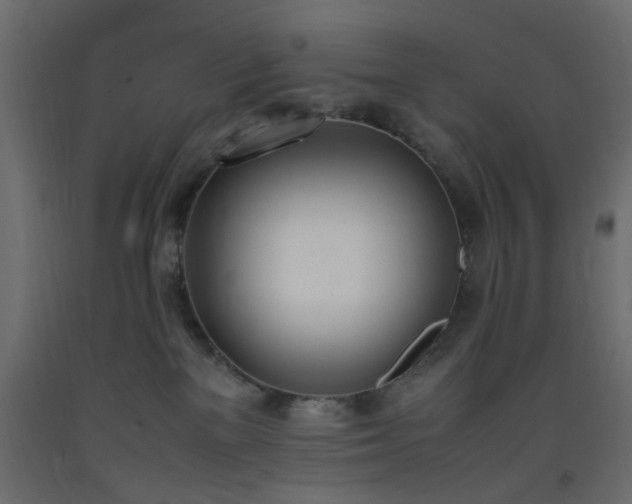 X0000093390137200710111523