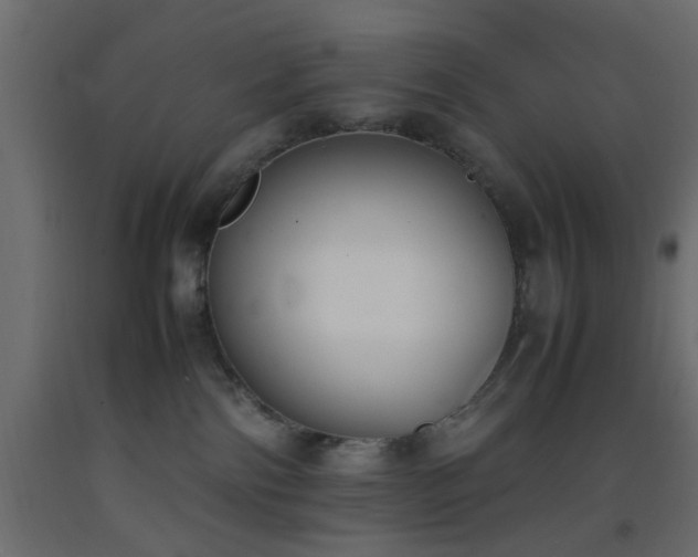 X0000093390138200710111522