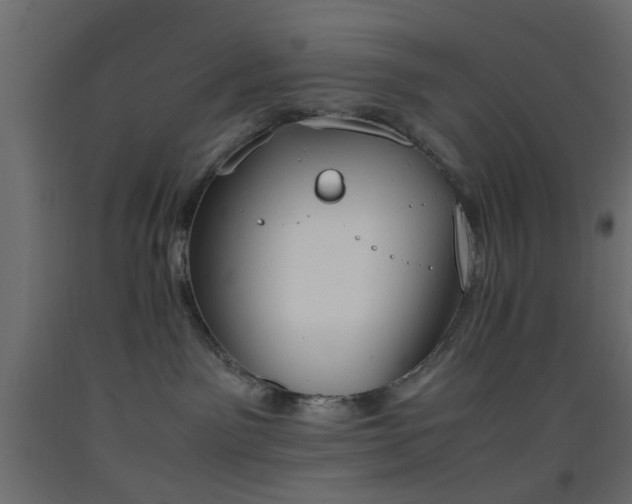 X0000093390141200710111522