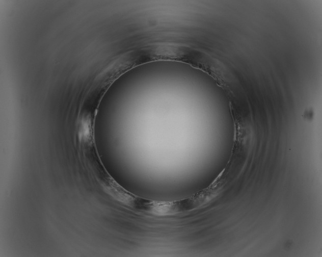 X0000093390143200710111522