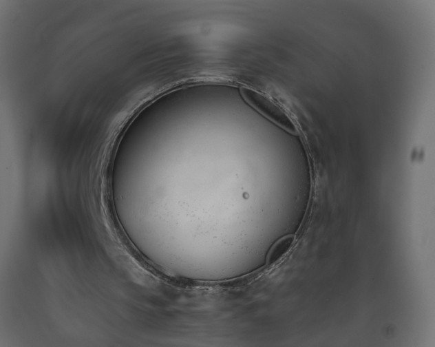 X0000093390145200710111522