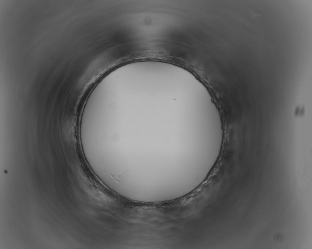 X0000093390146200710111522