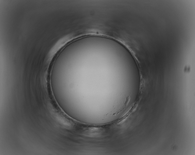 X0000093390151200710111522