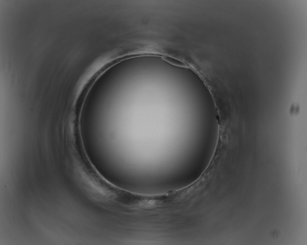 X0000093390152200710111522