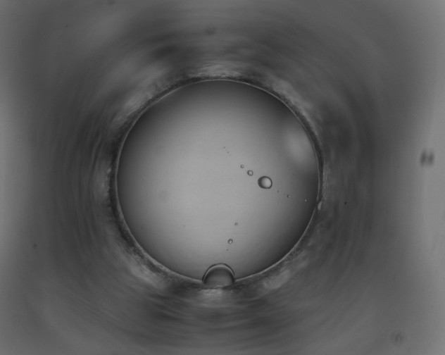 X0000093390153200710111522