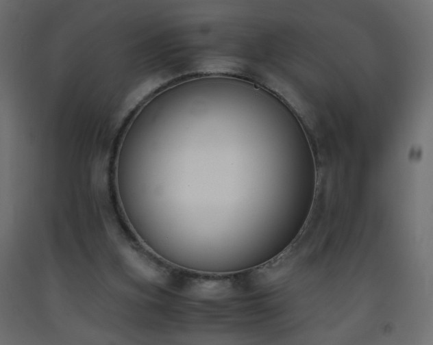 X0000093390155200710111522