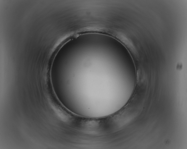 X0000093390156200710111522